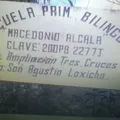 Macedonio Alcala