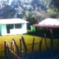 Lucio Cabañas Barrientos