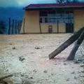 Juan Escutia