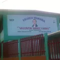 Valentin Gomez Farias