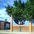 Vicente Guerrero