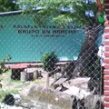 Grupo en Marcha