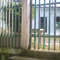 Vicente Guerrero