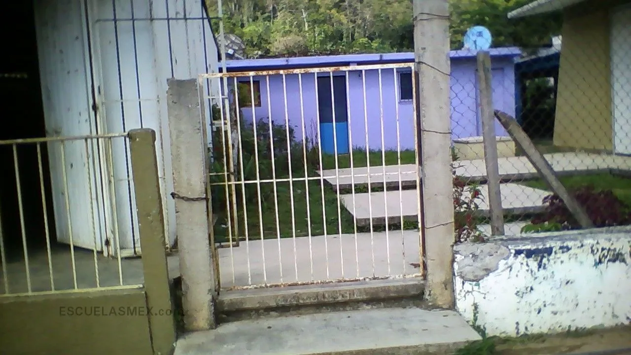 Miguel Hidalgo Entrada