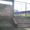 Cosijoeza