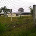 Pensador Mexicano