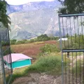 Melchor Ocampo