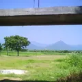 Ricardo Flores Magon