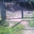 Nuevos Horizontes