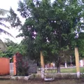 Justo Sierra
