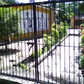 Ricardo Flores Magon