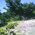 Congreso de Anahuac