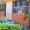 Una Nueva Luz del Milenio