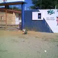Cosijoeza