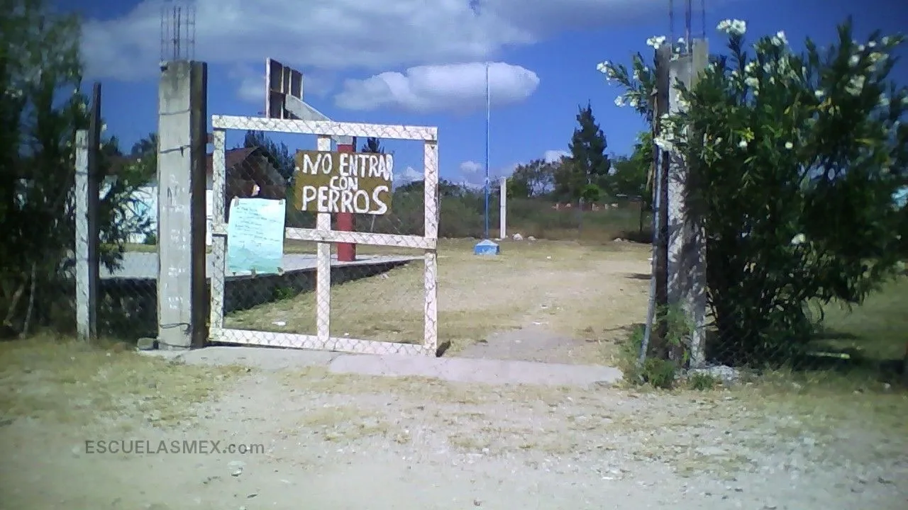Niño Artillero Entrada