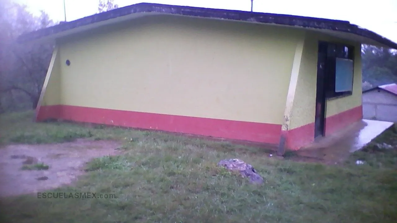 Celestin Freinet Entrada