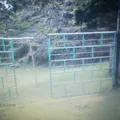 Escuela Secundaria Técnica Núm. 222