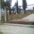 Telesecundaria