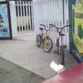 Telesecundaria