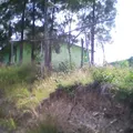 Telesecundaria