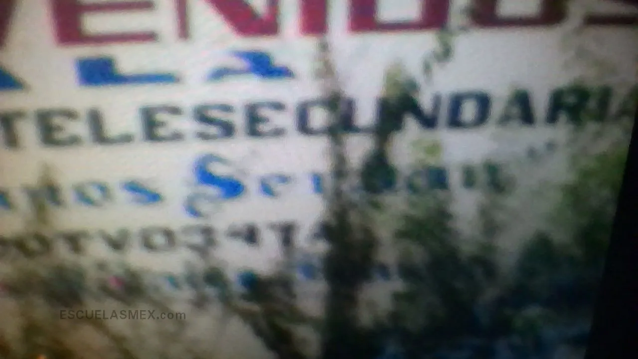 Telesecundaria Entrada