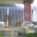 Telesecundaria