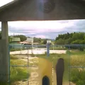 Telesecundaria