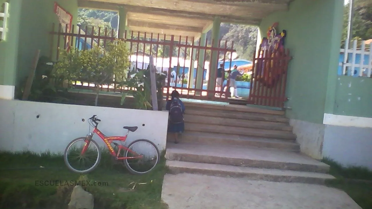 Telesecundaria Entrada