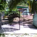 Telesecundaria