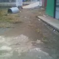 Telesecundaria
