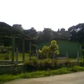 Telesecundaria