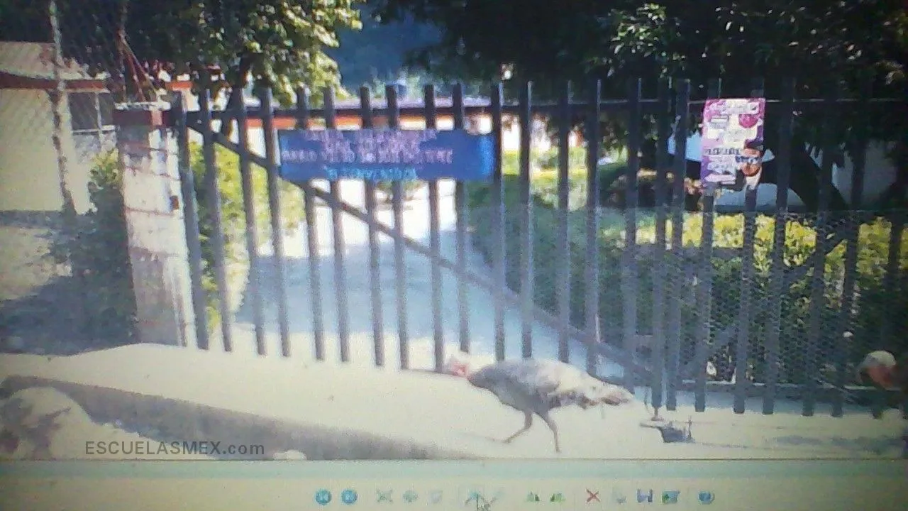 Telesecundaria Entrada