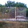 Telesecundaria