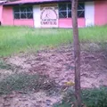 Telesecundaria