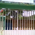 Telesecundaria