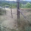 Telesecundaria