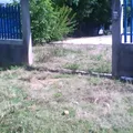 Telesecundaria