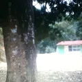 Telesecundaria
