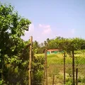 Telesecundaria