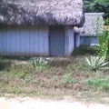Telesecundaria