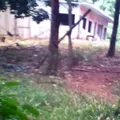 Telesecundaria