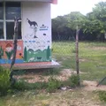Curso Comunitario de Educacion Preescolar Indigena