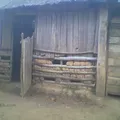 Curso Comunitario de Educacion Preescolar Indigena