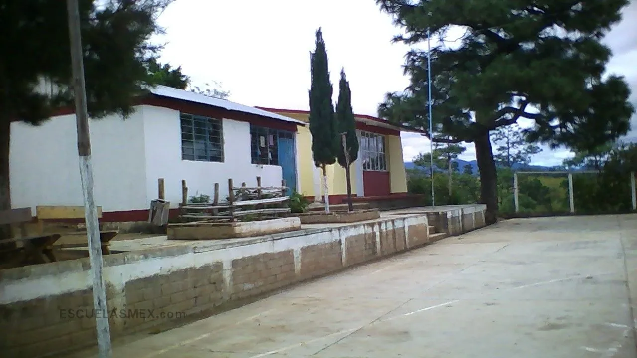 Curso Comunitario de Educacion Preescolar Mestizo Entrada