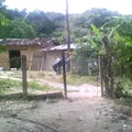 Curso Comunitario de Educacion Primaria Indigena