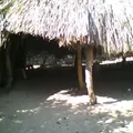 Curso Comunitario de Educacion Primaria Indigena