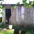 Curso Comunitario de Educacion Primaria Indigena