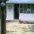 Curso Comunitario de Educacion Primaria Mestiza