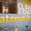 Colegio Patria México