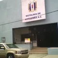Colegio Motolinia de Antequera